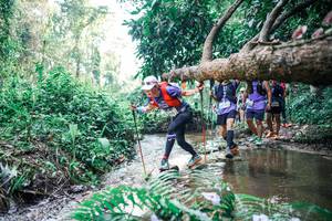 BIB: 
                            <button type="button" onclick="openModal(25459310)" class="btn btn-primary btn-sm float-right btn-popup" data-toggle="modal" data-target=".modal-high-quality">
                        <i class="fas fa-shopping-cart"></i> Add to Cart
                    </button>
                                            <button type="button" onclick="isThisMe(25459310, true)" class="btn btn-success btn-sm float-right btn-popup btn-isme hidden" data-toggle="tooltip" data-placement="bottom" title="นี่คือรูปของคุณใช่ไหม คลิกที่นี่เพื่อเอาเข้าอัลบั้ม">
                        <i class="fas fa-plus"></i> Add to album
                    </button>
                    <button type="button" onclick="isThisMe(25459310, false)" class="btn btn-warning btn-sm float-right btn-popup btn-isnotme hidden">
                        <i class="fas fa-ban"></i> Remove from album
                    </button>